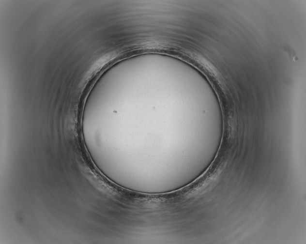 X0000111900930200908101137