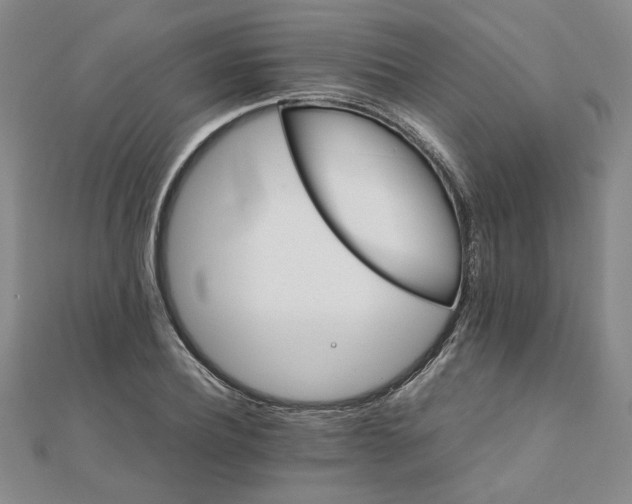 X0000111900932200908101137