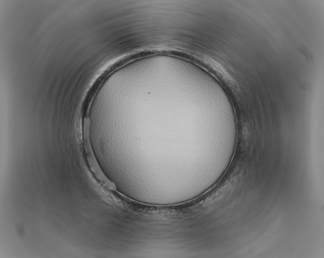 X0000111900934200908101137