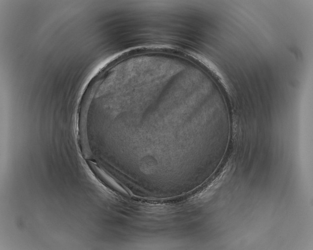 X0000111900935200908101137