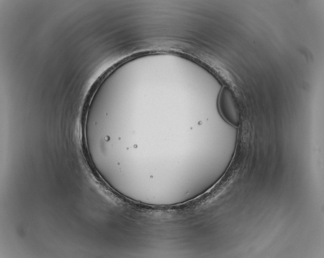 X0000111900936200908101137