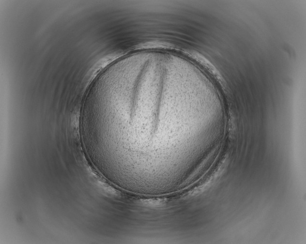 X0000111900937200908101137