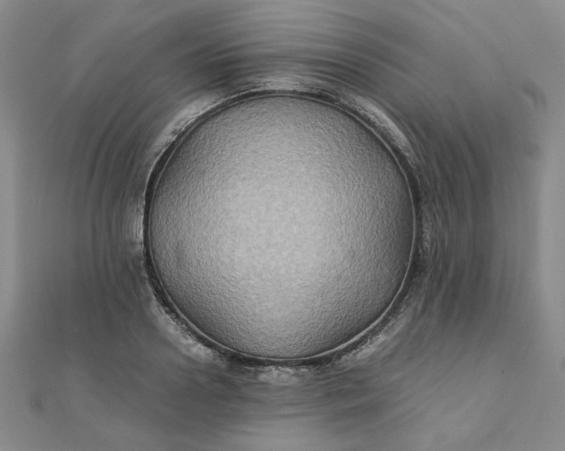 X0000111900938200908101137