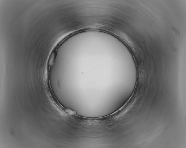 X0000111900940200908101137