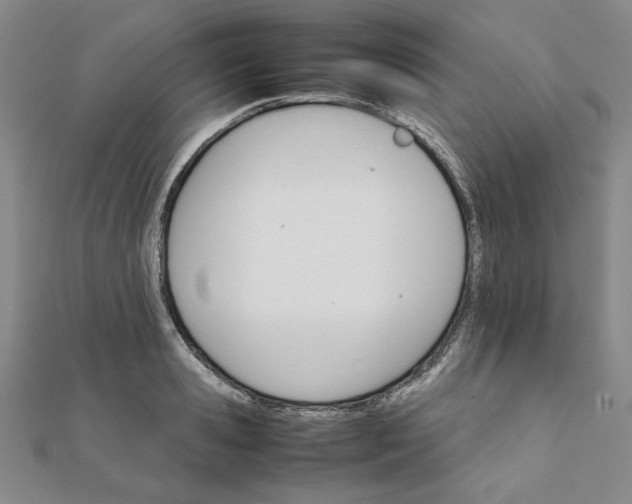 X0000111900941200908101137