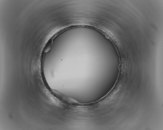 X0000111900942200908101137