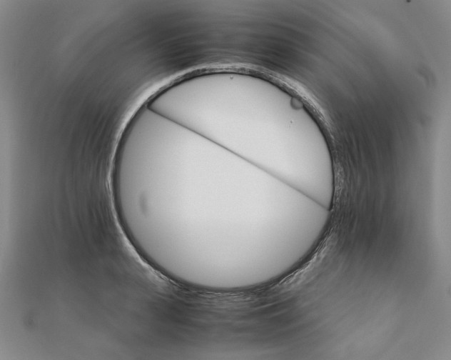 X0000111900943200908101137