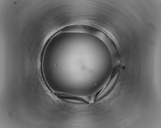 X0000111900944200908101137