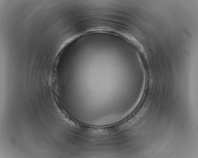 X0000111900945200908101137