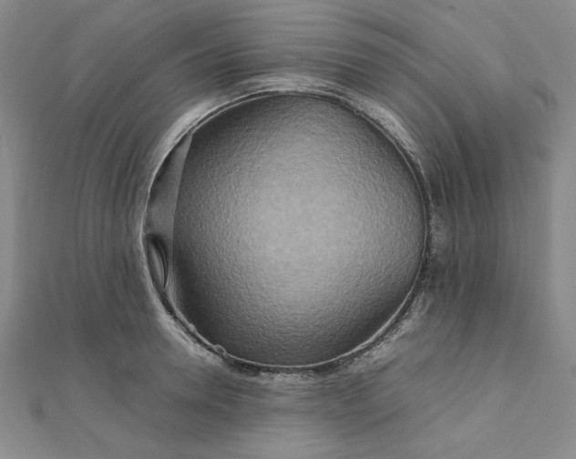 X0000111900946200908101137