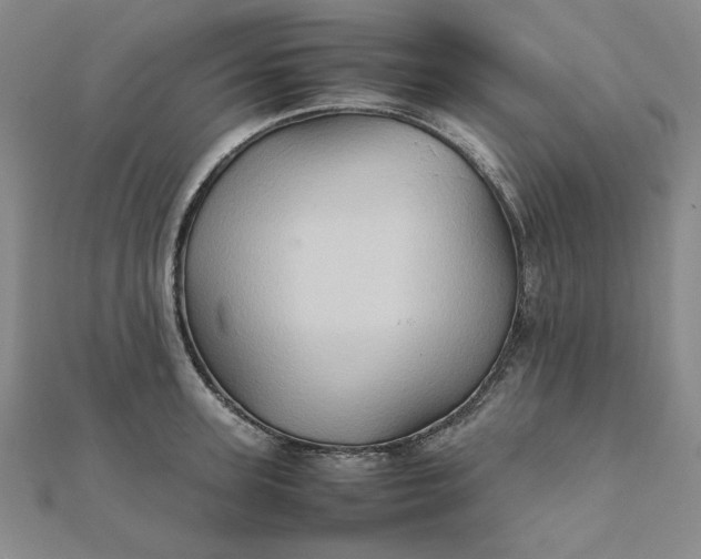 X0000111900947200908101137