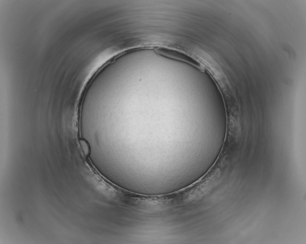 X0000111900948200908101137