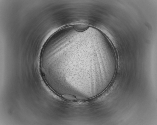 X0000111900949200908101137