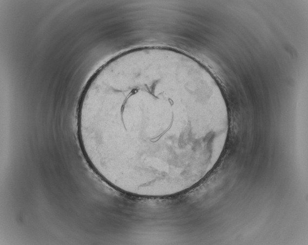 X0000111900950200908101137