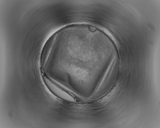 X0000111900951200908101137