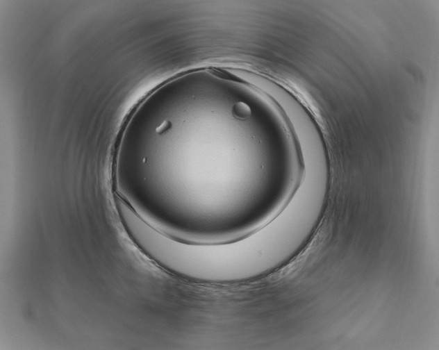 X0000111900952200908101137