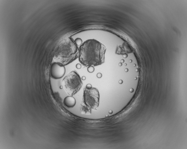 X0000111900953200908101137