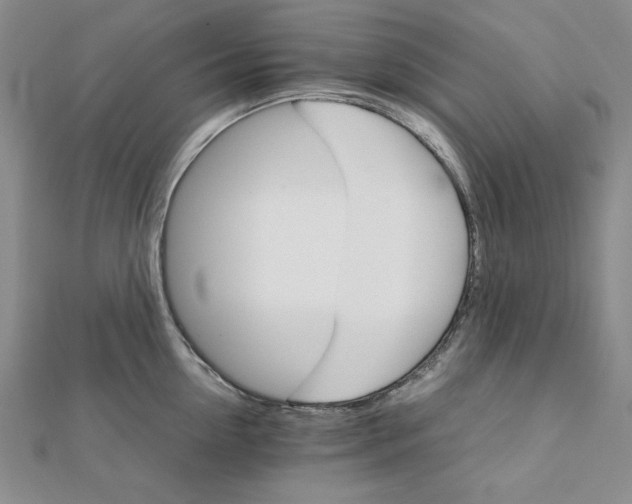 X0000111900954200908101137