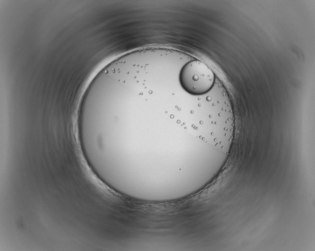 X0000111900955200908101137