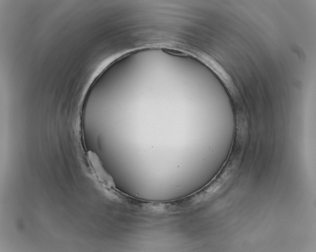 X0000111900956200908101137