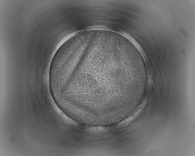 X0000111900957200908101137