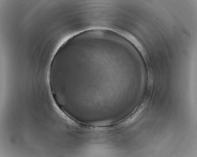 X0000111900958200908101137