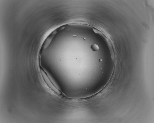 X0000111900960200908101137