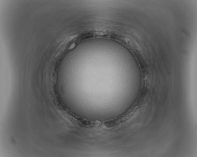 X0000111900961200908101137