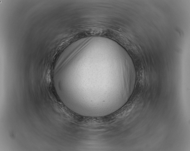 X0000111900962200908101137