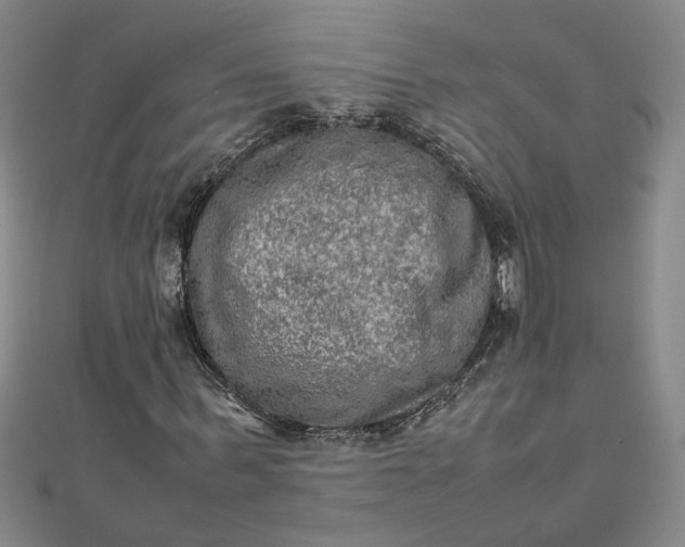 X0000111900963200908101137