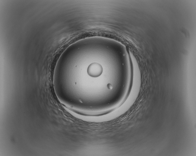 X0000111900965200908101137