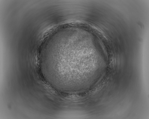 X0000111900966200908101137