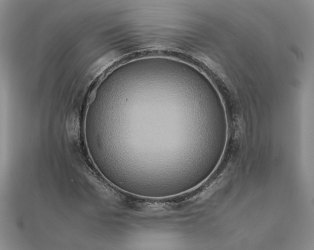 X0000111900969200908101137