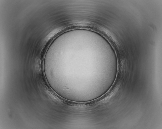 X0000111900970200908101137