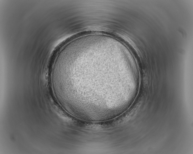 X0000111900971200908101137