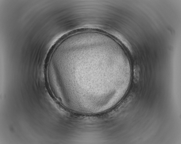 X0000111900972200908101137