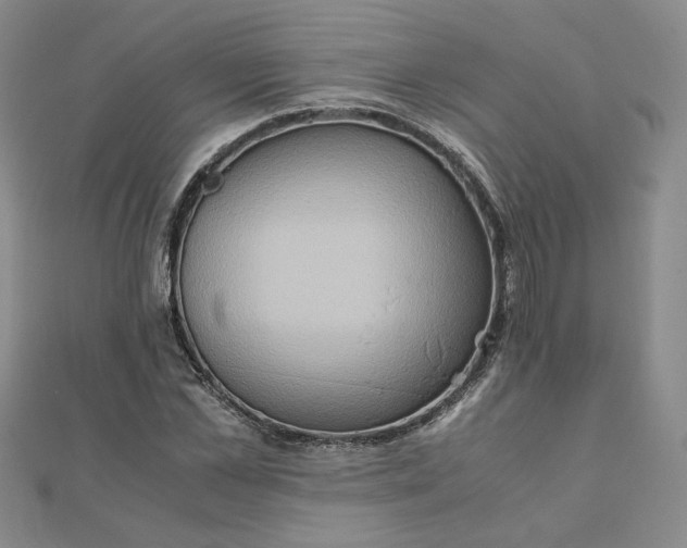 X0000111900973200908101137