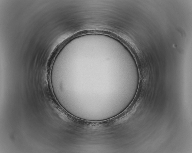 X0000111900974200908101137