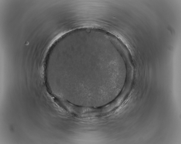 X0000111900975200908101137