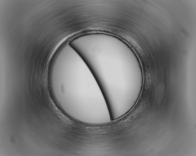 X0000111900976200908101137