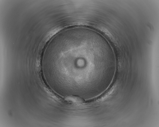 X0000111900977200908101137