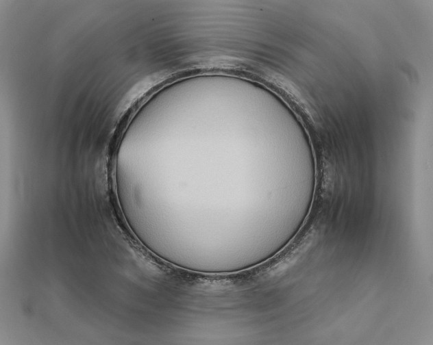 X0000111900978200908101137