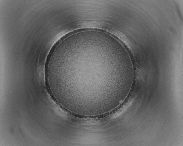 X0000111900980200908101137