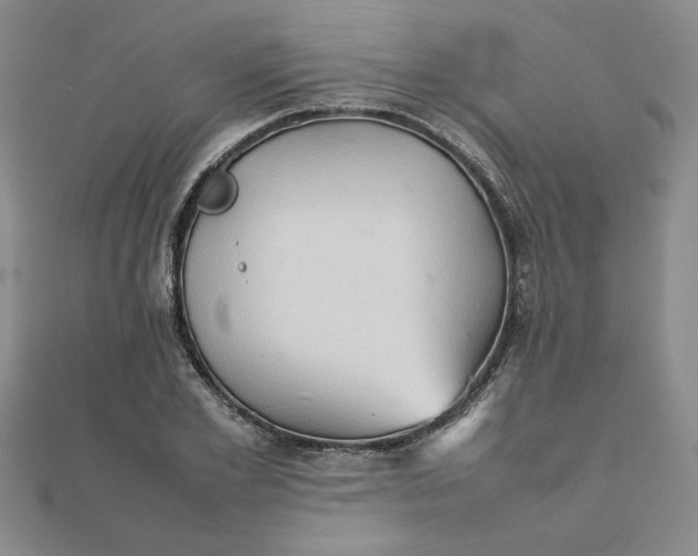 X0000111900981200908101137