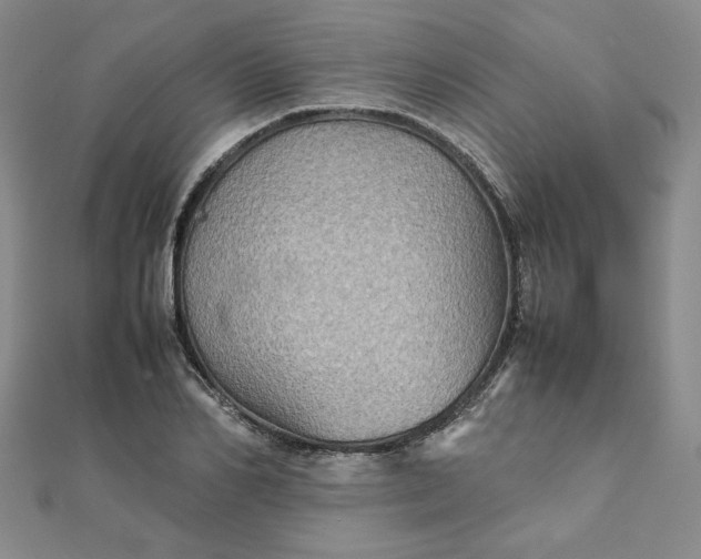 X0000111900982200908101137