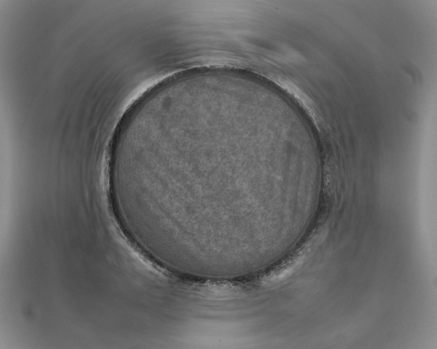 X0000111900983200908101137