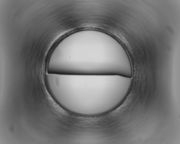 X0000111900984200908101137