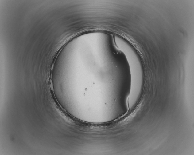 X0000111900985200908101137