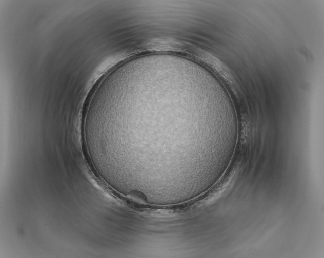 X0000111900986200908101137