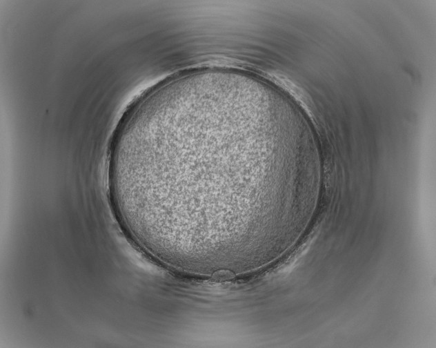 X0000111900987200908101137